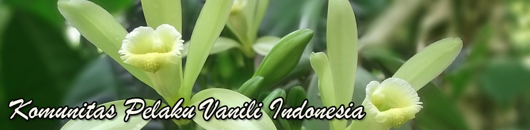 Vanili Indonesia